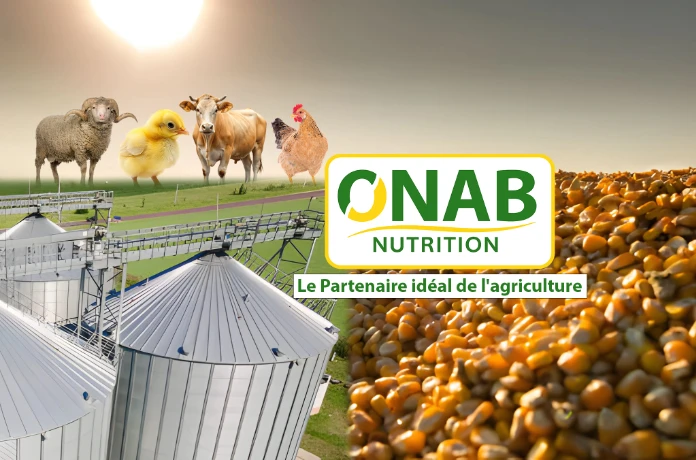 رمضان: مجمع "أوناب" يسطر برنامجا لتعزيز تموين السوق الوطنية باللحوم البيضاء