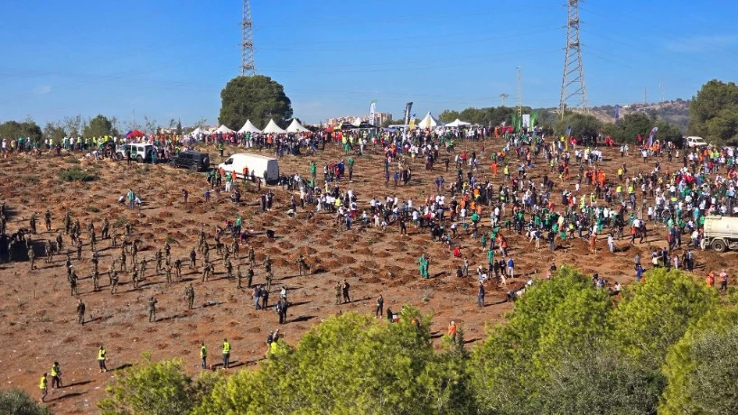 انطلاق أكبر حملة وطنية  لغرس 5 ملايين شجيرة