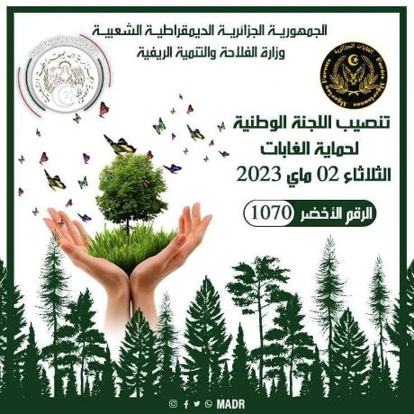 تنصيب اللجنة الوطنية لـحماية الغابات 2023