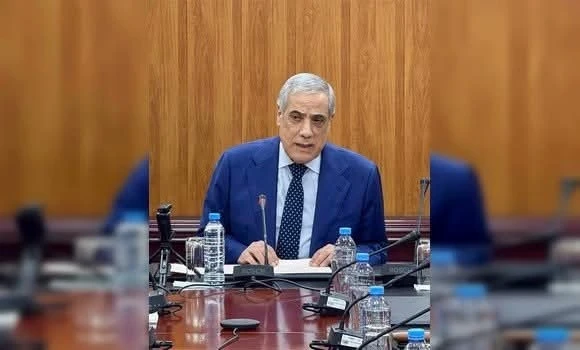 الوزير الأول يترأس الدورة الـ195 لمجلس مساهمات الدولة