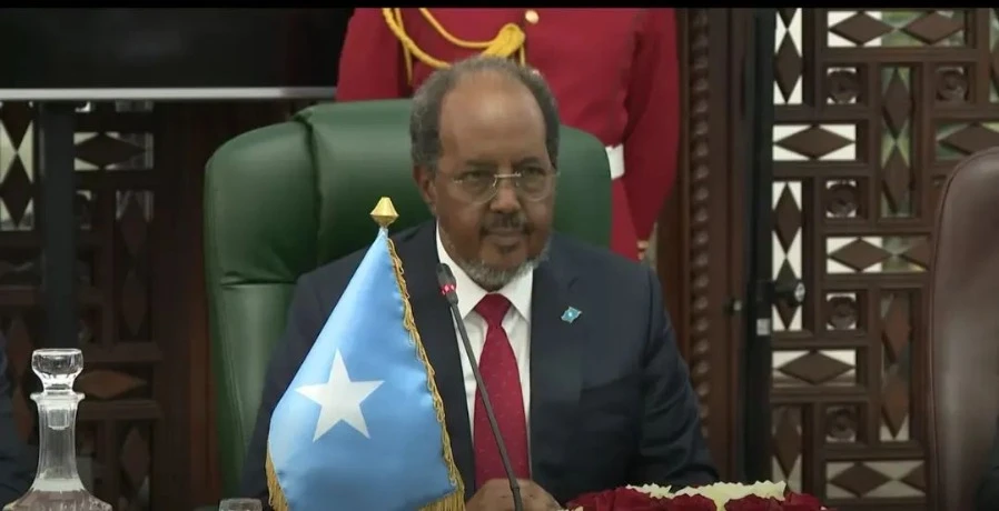 الرئيس الصومالي يشيد بدور الجزائر في تعزيز السلام والعدالة والتضامن الافريقي