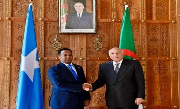 عطاف يستقبل نظيره الصومالي