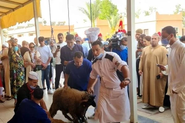 نشاط  الترام خلال العيد : خدمات متواصلة من أول يوم