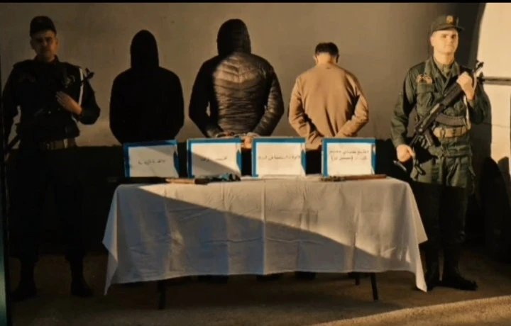 تفكيك شبكة لسرقة المواشي بغليزان واسترجاع 15 رأسا من الأغنام