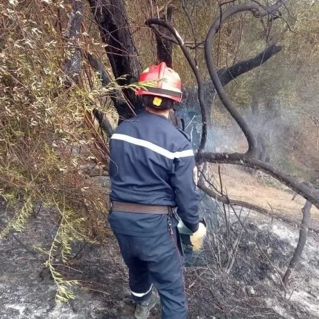 جهاز مكافحة حرائق الغابات يتمكن من 49 حريق