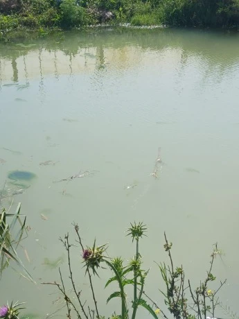 عين الدفلى :انتشال جثة طفل من حاجز مائي بسيدي لخضر