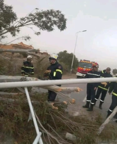 سقوط أشجار وأعمدة كهربائية… والحماية المدنية في الميدان بسعيدة