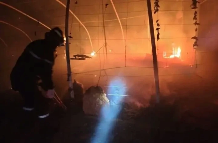 حريق مستودع  يأتي على 3500 دجاجة بسعيدة