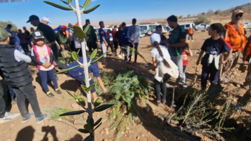 إحياء اليوم الوطني للشجرة بغابة رأس العنصر بزمورة 20 ألف شتلة لتوسيع المساحات الغابية