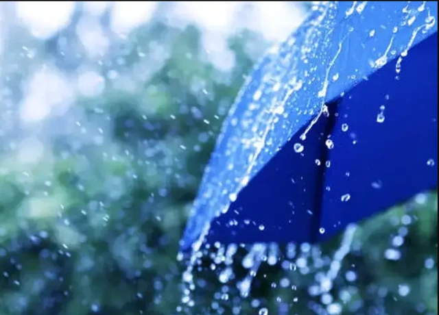 تواصل تساقط الأمطار بالجنوب إلى غاية يوم السبت