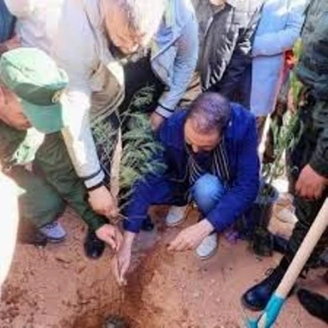 خط السكة الحديدية بشار-  تندوف –غارا جبيلات ... الشروع في غرس 400 شجرة  بالطريق المؤدي إلى محطة المسافرين