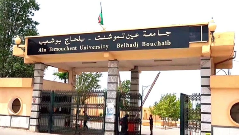 جامعة بلحاج بوشعيب بعين تموشنت تتحصل على لقب "حاضنة الأعمال"