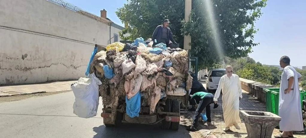 تلمسان : مديرية الصناعة تطلق حملة لجمع جلود الأضاحي أيام العيد