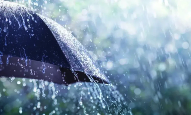 أمطار رعدية مرتقبة على عدة ولايات غدا الخميس