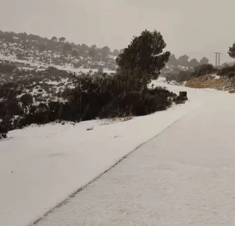 الثلوج تغطي جبال مناطق جنوب و شرق تلمسان