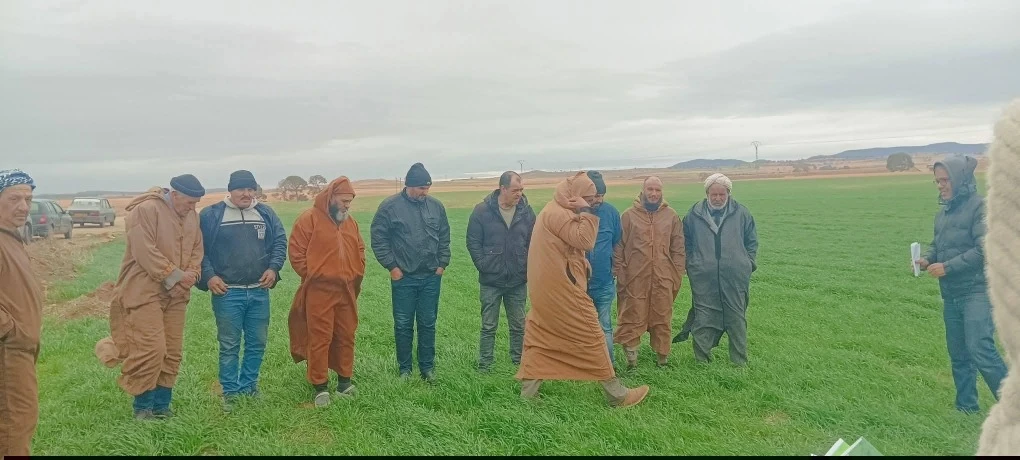 في خرجة ميدانية لخلية شعبة الحبوب بيوب... إرشادات تقنية للفلاحين لضمان نجاح حملة البذر
