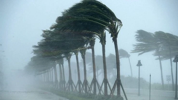 رياح قوية منتظرة اليوم الأحد على عدد من ولايات جنوب الوطن