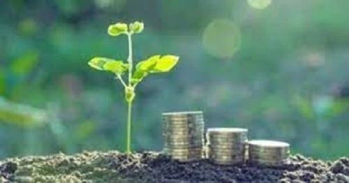 سعيدة: انطلاق فعاليات مشروع دار الاستثمار الأخضر