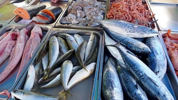 عين تموشنت: تحقيق 1.7 مليون أورو في مجال صادرات المنتوج السمكي في سنة  2023