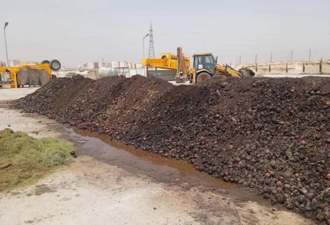 مديرية البيئة بسيدي بلعباس ...خرجات تحسيسية حول تثمين النفايات العضوية