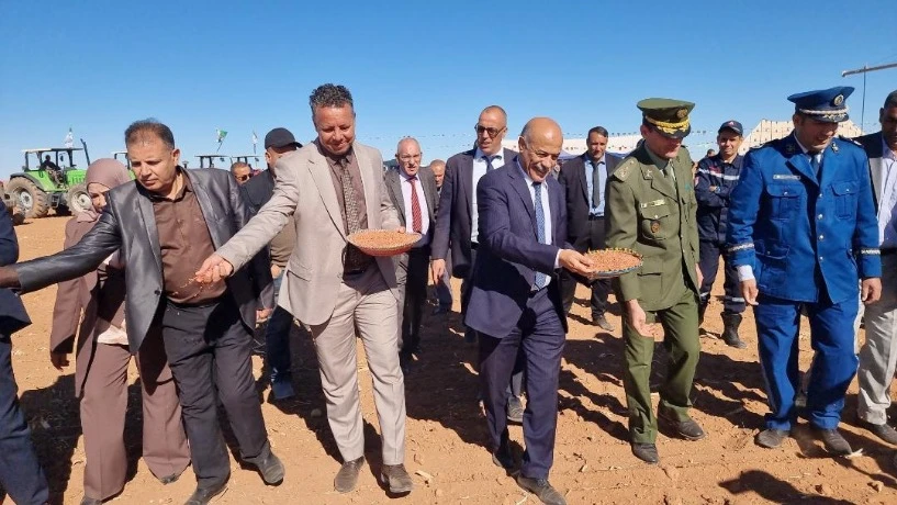 انطلاق حملة الحرث والبذر لموسم  2025- 2026 بالبيض   ...  استهداف  زراعة 6700 هکتار من الحبوب