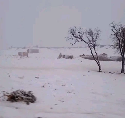 تيارت ...ثلوج وانخفاض في درجات الحرارة إلى دون الصفر