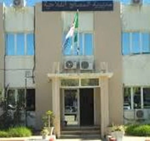 الغرفة الفلاحية بمعسكر ..  نحو إطلاق مشروع  زراعة عباد الشمس