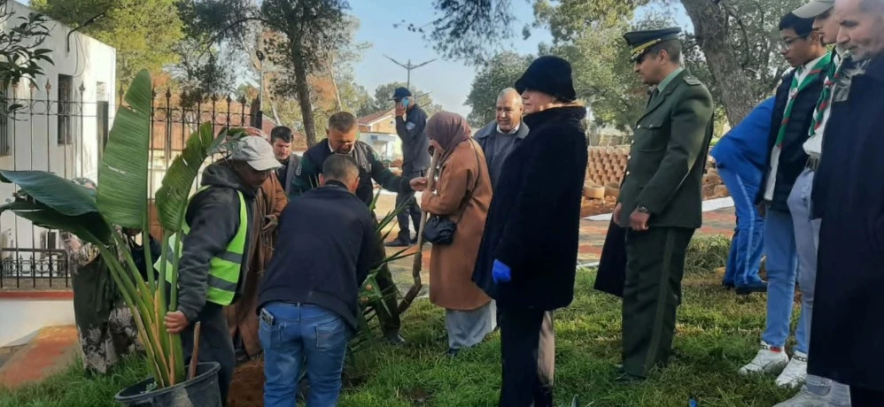غليزان: احياء لذكرى  مظاهرات 11 ديسمبر...حملة تشجير واسعة بحديقة موريس أودان بسيدي أمحمد بن علي