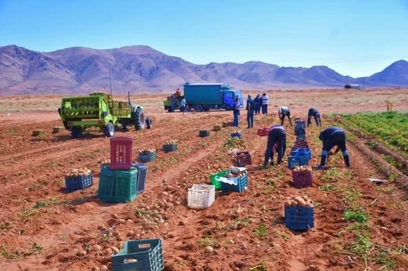 اليوم الوطني للإرشاد الفلاحي بالنعامة  ... عرض نماذج ذكية لطلبة دار المقاولاتية بالجامعة