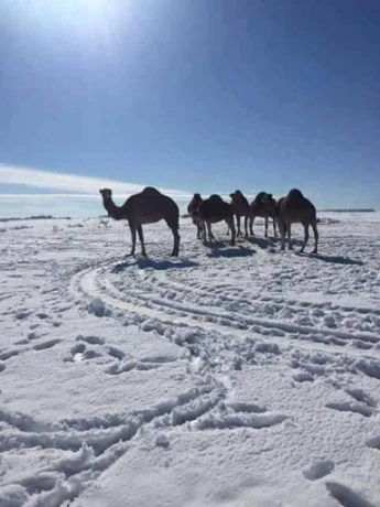 تسجيل 1 درجة تحت الصفر بالبيض