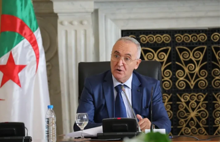 السيد فايد يشيد بدور الجمارك في حماية الاقتصاد الوطني و يؤكد أهمية تعميم  الرقمنة