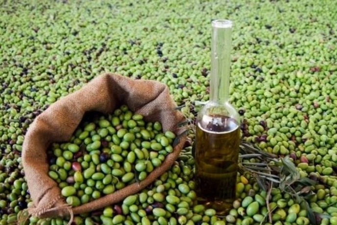 برنامج دعم قطاع الزراعة بالجزائر: 15 معصرة جزائرية تشارك في الصالون الدولي للتغذية بباريس