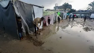 متحدث "الأونروا": القطاع الصحي في غزه ينهار بالكامل  والآلاف مصابون بالكبد  الوبائي