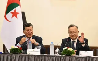 إنشاء المجلس الأعلى للجالية العلمية بالخارج يعكس الرؤية التنموية الإستراتيجية لرئيس الجمهورية