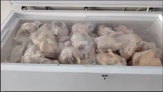 رمضان:  الشروع في ضخ كميات معتبرة من الدجاج المجمد تدريجيا في السوق بسعر 330 دج/كغ