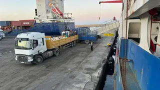 ميناء الجزائر : وصول شحنة جديدة من الأغنام المستوردة تحسبا لعيد الأضحى