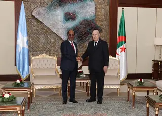 رئيس الجمهورية يؤكد وجود توافق بين الجزائر والصومال حول دعم حق الشعب  الفلسطيني في إقامة دولته المستقلة