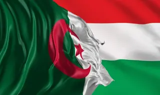 الجزائر والمجر تبحثان تعزيز الشراكة في الصناعة الصيدلانية والبحث السريري