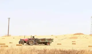 تدابير ميدانية ساهمت في ضمان السير الحسن لحملة الحصاد والدرس