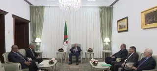 رئيس الجمهورية يستقبل رئيس مجموعة البنك الإفريقي للتنمية