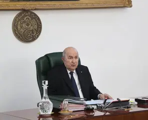 رئيس الجمهورية يأمر بتسوية وضعية الشباب العاملين في الاستيراد المصغر الذاتي