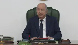 رئيس الجمهورية يأمر بفتح تحقيق في حرائق الغابات التي مست عدة ولايات نهاية الأسبوع الماضي