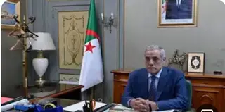 الوزير الأول يستقبل سفيرة صربيا بالجزائر