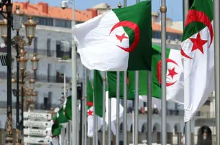 مشروع قانون الأحزاب السياسية : خطوة نحو ترقية الأداء الحزبي