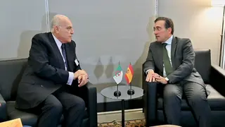 عطاف يجري بنيويورك لقاءات ثنائية مع عدد من نظرائه الأوروبيين على هامش  أشغال الجمعية العامة للأمم المتحدة