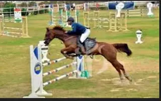 الفروسية : المسابقة الوطنية الكبرى للقفز على الحواجز  من 1 إلى 11 أكتوبر بوهران