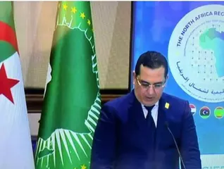 مواجهة المعلومات المضللة: الجزائر ستظل في طليعة المدافعين عن القارة  الإفريقية