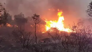 مستغانم: غلق جزئي لبعض الغابات وتعليق جميع الأشغال والنشاطات التي تسبب  الحرائق