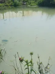 عين الدفلى :انتشال جثة طفل من حاجز مائي بسيدي لخضر