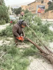 وهران: سقوط 3 أعمدة كهربائية ببوفاطيس وتدخل السلطات المحلية وأعوان سونلغاز